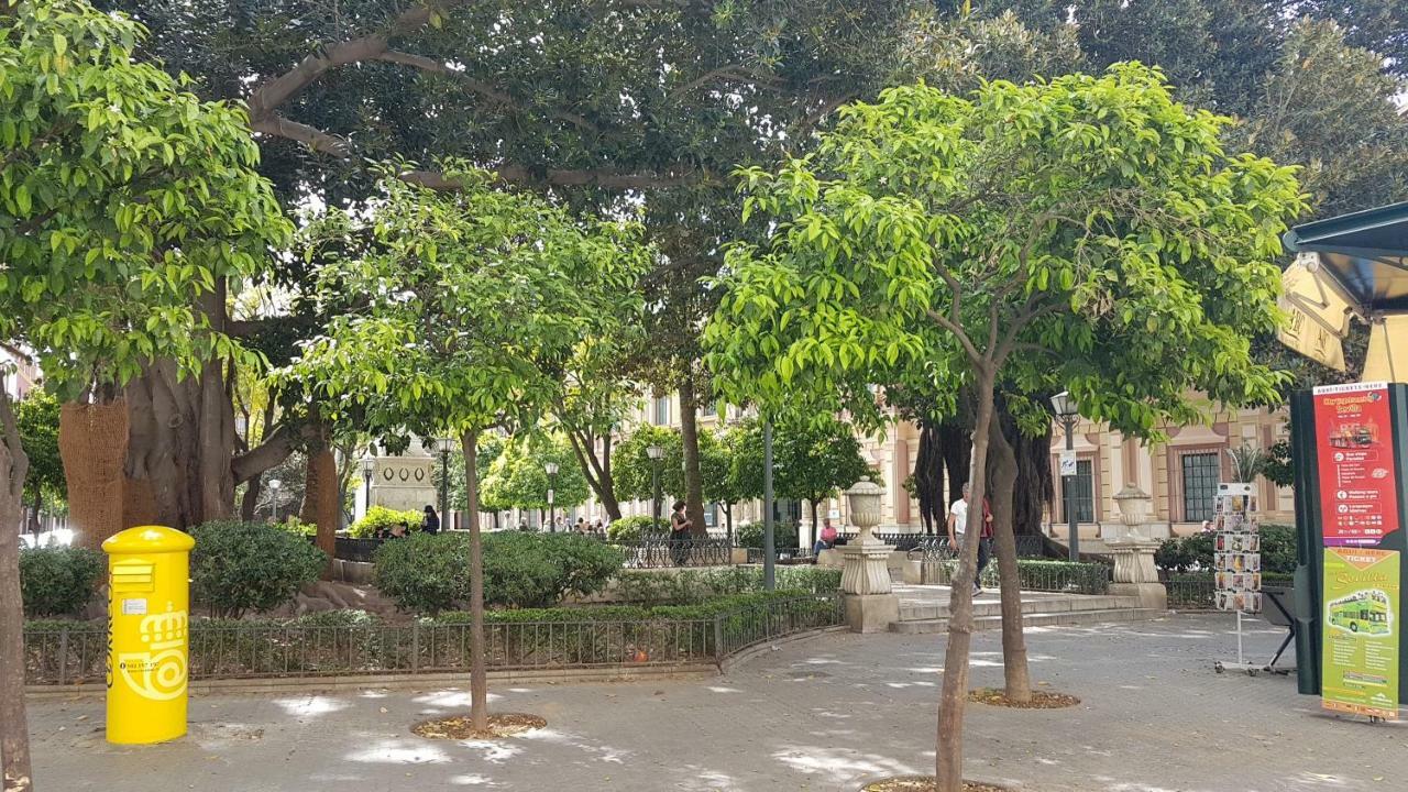 Alfonso Xii 29 *
